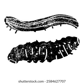 Bright Caterpillars as Larval Stage of Insect Crawling and Creeping Vector Set, Worm larva insects butterfly cute caterpillar, swallowtail caterpillar textured on white background.