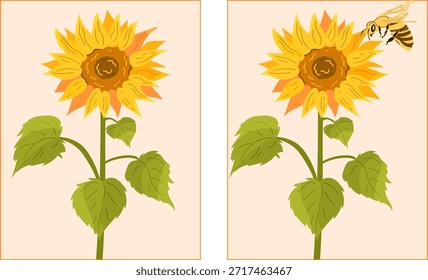 Brillantes y alegres postales de girasol en un estilo de Vector plano. Una tarjeta muestra una flor de girasol clásica, mientras que la otra presenta una abeja acercándose a la flor. Perfecto para estampados ecológicos.
