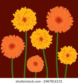Bright and cheerful vector illustration of blooming marigold flowers in yellow and orange hues against a deep maroon background. Perfect for vibrant textiles, wallpapers, and digital designs.