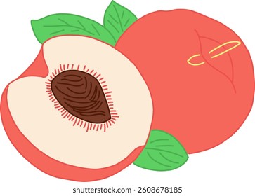 Bright and cheerful vector illustration of two ripe peaches, one of which is cut in half to reveal the seed.