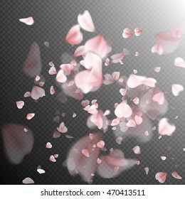 Bright cherry petals fall down. A lot of pink petals on transparent background. Nature backdrop. EPS 10 vector file included