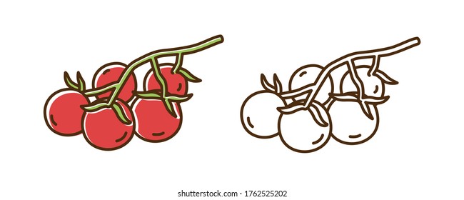 Bright cherry tomatoes on branch vector illustration in line art style. Set of colorful and monochrome organic red tomato isolated on white background. Cute edible fresh vegetables