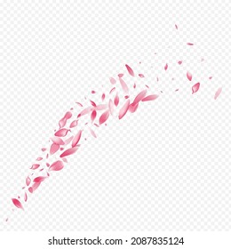 Bright Cherry Vector Transparent Background. Lotus Japanese Banner. Confetti Falling Pattern. Tree Fresh Texture. Light Leaf Marriage Illustration.