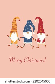 Bright  Christmas Card Gnomes in vector 
