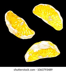 Bright citrus lemon, lime, orange or mandarin slices set. There are 3 slices of different kind