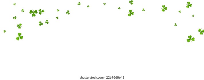 Bright Clover Air Vector White Panoramic Background. Green Leaves Botanical Backdrop. Fly Foliage Illustration. Spring Shamrock Isolated Wallpaper.