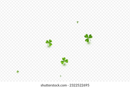 Fondo transparente del vector botánico del trébol brillante. Color de oliva Shamrock Wind Template. Patrón de hoja mínima. Ilustración del flujo de follaje malaquita.