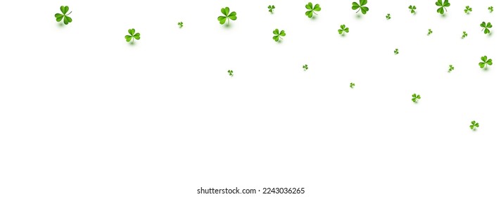 Bright Clover Holiday Vector White Panoramic Background. Spring Shamrock Isolated Illustration. Wind Foliage Pattern. Green Leaves Summer Backdrop.