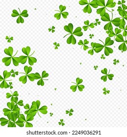 Bright Clover Isolated Vector Transparent Background. Malachite Shamrock Stream Wallpaper. Wind Leaf Pattern. Olive color Foliage Holiday Template.