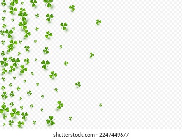 Bright Clover Minimal Vector Transparent Background. Green Foliage Stream Design. Holiday Leaf Pattern. Olive color Shamrock Botanical Wallpaper.