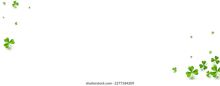 Bright Clover Minimal Vector White Panoramic Background. Olive color Leaves Saint Patrick Design. Summer Foliage Wallpaper. Malachite Leaf Botanical Illustration.