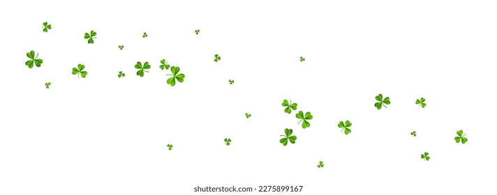 Bright Clover Saint Patrick Vector White Panoramic Background. Malachite Leaf Minimal Template. Botanical Foliage Pattern. Olive color Shamrock Air Illustration.