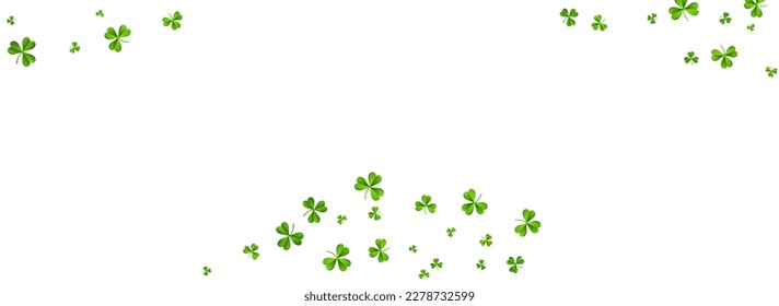 Bright Clover Saint Patrick Vector White Panoramic Background. Malachite Shamrock Fly Template. Isolated Leaf Wallpaper. Spring Leaves Stream Backdrop.