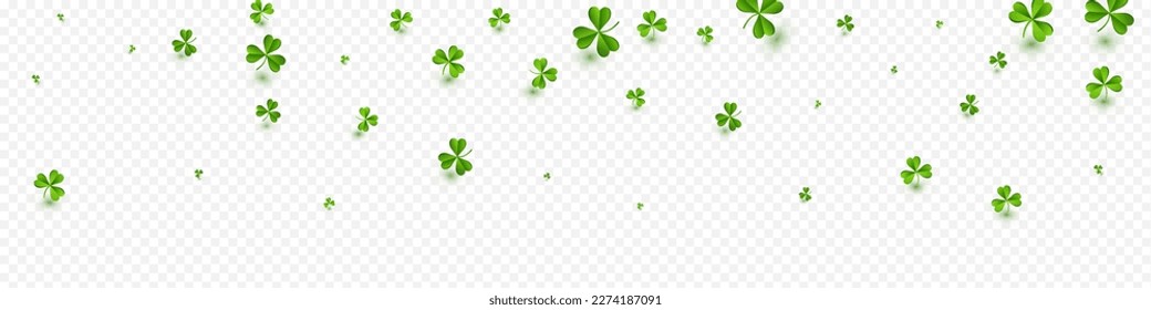 Bright Clover Stream Vector Transparent Panoramic Background. Spring Shamrock Summer Design. Holiday Foliage Wallpaper. Malachite Leaves Saint Patrick Template.