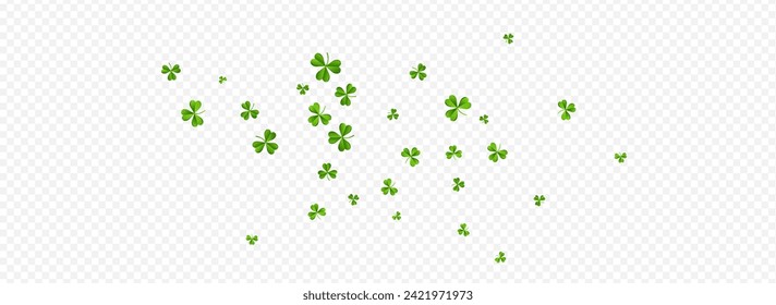 Bright Clover Wind Vector Transparent Panoramic Background. Spring Leaves Botanical Wallpaper. Fly Foliage Backdrop. Olive color Shamrock Isolated Illustration.