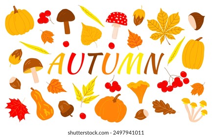 Bright collection of autumn season elements, pumpkins, leaves, mushrooms