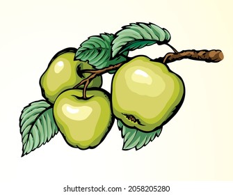 Bright color hand drawn ripen raw fresh twig stem grow logo emblem design retro art doodle line sketch print style picture card. Close up view bio eco sweet juicy health vegan diet white sky text spac