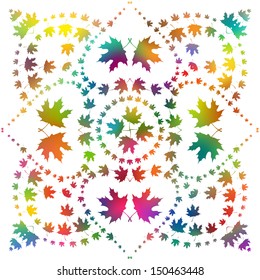 bright color pattern of maple leaves on a white background, vector illustration