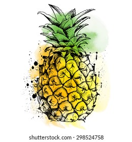 Bright color pineapple fruit. Vector illustration.