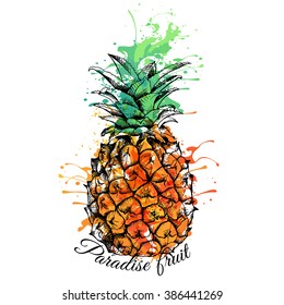 Bright color Pineapple. Vector illustration.