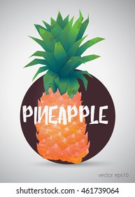 Bright color Pineapple. Vector illustration. Tropical fruit