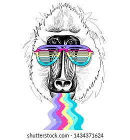 Bright colored collage in a Zine Culture style. Mandrill monkey in a rainbow glasses. Humor card, t-shirt composition, hand drawn style print. Vector illustration.