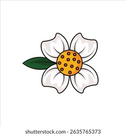 A bright colored flat illustration of Mesua ferrea, featuring its white petals and yellow center, perfect for Asian and garden visuals.