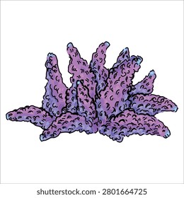 Bright and colorful  Acropora vector illustration isolated on white background. Artistic, hand-drawn, digital illustration. Clip art. Flat design for ocean theme. For prints. 