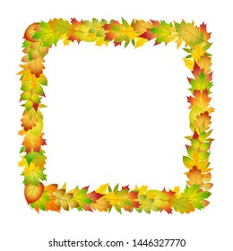Bright colorful autumn leaves frame for design on white, stock vector illustration