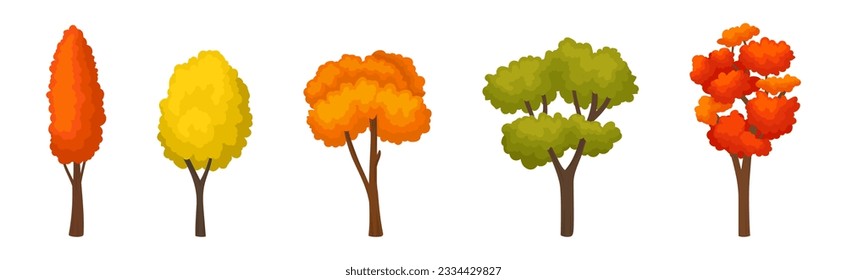 Bright Colorful Autumn Trees with Vivid Crown and Trunk Vector Set