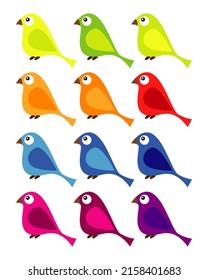 Bright colorful cartoon bird set collection on white background. Vector illustration.