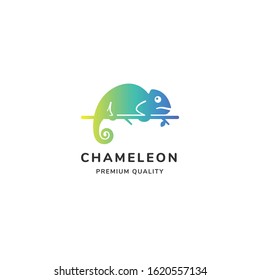 Bright colorful chameleon logo isolated on white background. Premium vector