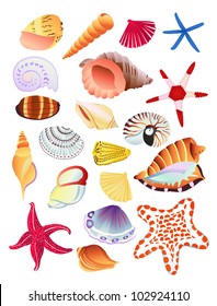 Bright, colorful collection of seashells and starfish. Vector illustration