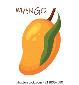 A bright colorful composition with juicy mango. Exotic fruits. Vector