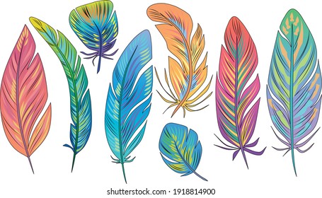 Bright colorful feathers of exotic birds. A set of vector drawings of the plumage of tropical birds of paradise. Delicate pastel colors