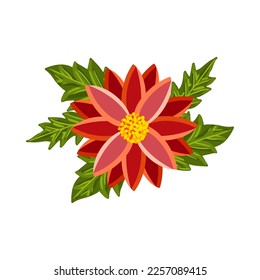 Bright colorful flower with leaves. Botanical vector illustration isolated on white background for postcard, poster, ad, decor, fabric and other uses.