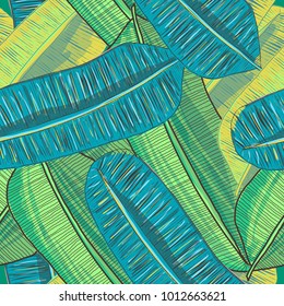 Bright and colorful hand drawn hawaiian tropical palm and banana leaves seamless pattern vector