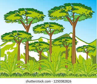 Layers Rainforest Name Illustration Stock Vector (Royalty Free ...