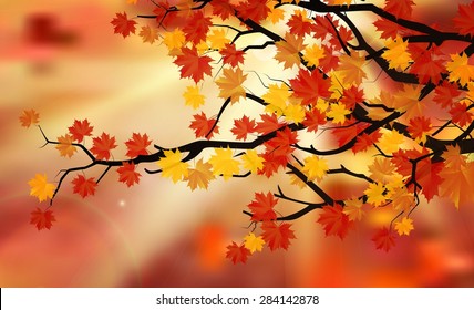 Bright colorful leaves on the branches in the autumn forest. Vector