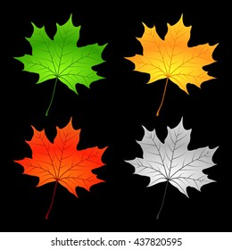 Bright Colorful Maple Leaves. Isolated on Black Background