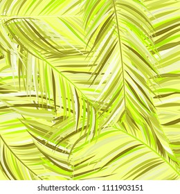 Bright Colorful Palm Branches in Various Forms. Tropic Foliage. Illustration of Jungle Plants. Vector Palm Leaves in Green Tones. Floral Elements Set. Detailed Palm Leaves for Your Creative Design.