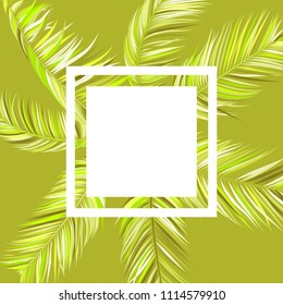 Bright Colorful Palm Branches in Various Forms. Tropic Foliage. Illustration of Jungle Plants. Vector Palm Leaves in Green Tones. Floral Elements Set. Detailed Palm Leaves for Your Creative Design.