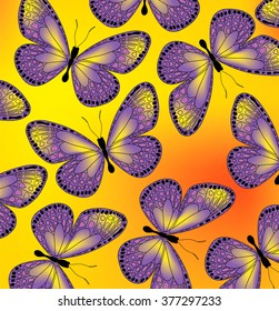 Bright colorful pattern with butterflies.
