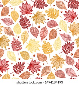 Bright colorful seamless pattern of maple birch poplar acacia leaves. On a white background, an ornament of contour leaves is drawn by hand.