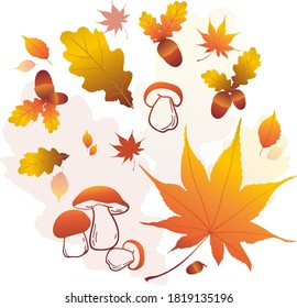 Bright, colorful set of autumn leaves, mushrooms, acorns