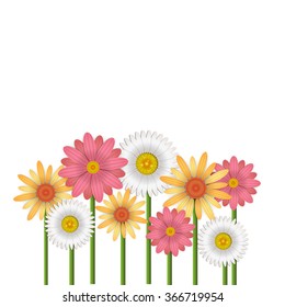 Bright colorful spring flowers on white background. Growth, organic production, nature concept. Botanical illustration. Vector illustration.