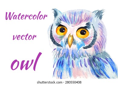 Bright colorful watercolor vector illustration of an owl
