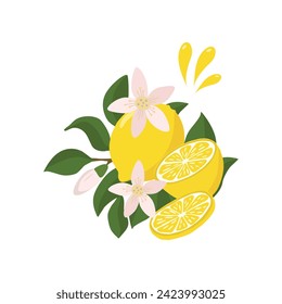 A bright composition of a lemon sprig with a whole lemon half, flying splashes of lemon juice and decorated with flowers. Citrus composition. For the design of postcards, prints, stickers and other