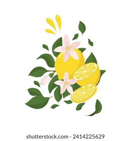 A bright composition of lemon twigs with a whole lemon half, sprinkled with lemon juice and decorated with flowers. Citrus composition. For the design of postcards, prints, stickers and other uses.