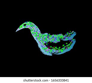 Bright confetti in the shape of a bird on a black background.